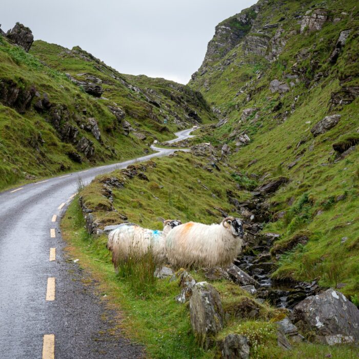 Le Ballaghbeama Gap - © Shawn