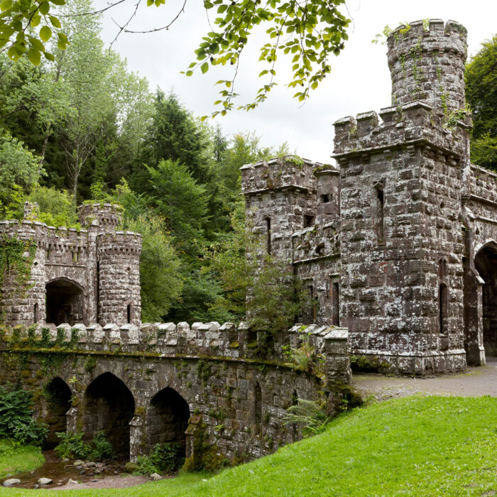 Les Ballysaggartmore towers - © Fulcanelli