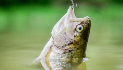 Vivez un week-end de pêche en Irlande inoubliable - © be free 