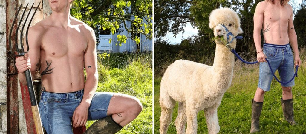 Le Irish farmer calendar 2023