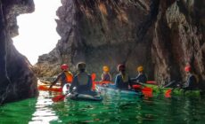 Fethard : Excursion en kayak de mer dans la péninsule de Hook avec équipement.