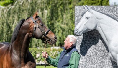Kildare : Haras et jardins nationaux irlandais