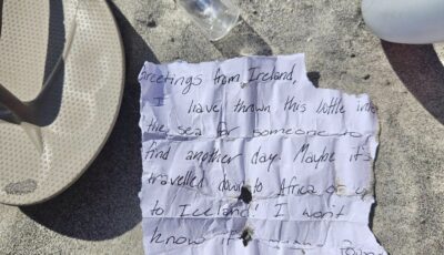 Message d'une bouteille à la mer - The Wildwood Sun by the Sea Magazine