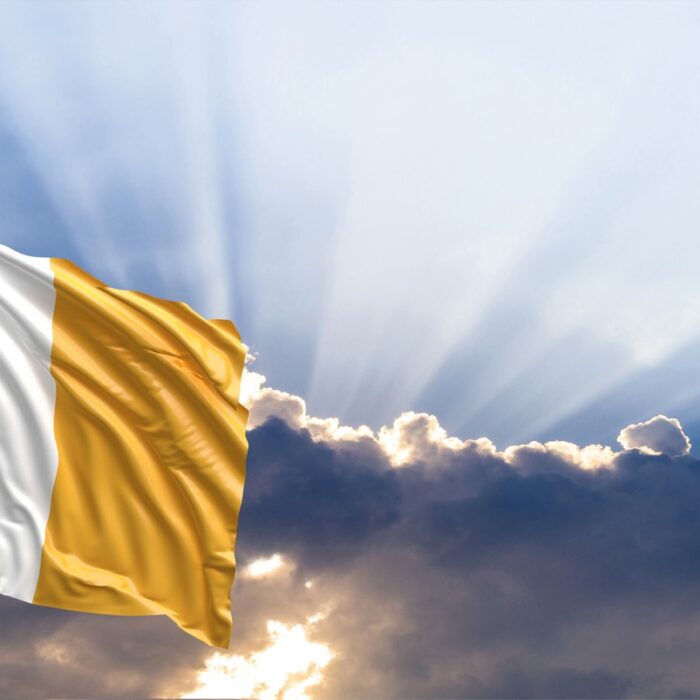 Drapeau de l'Irlande - © viperagp