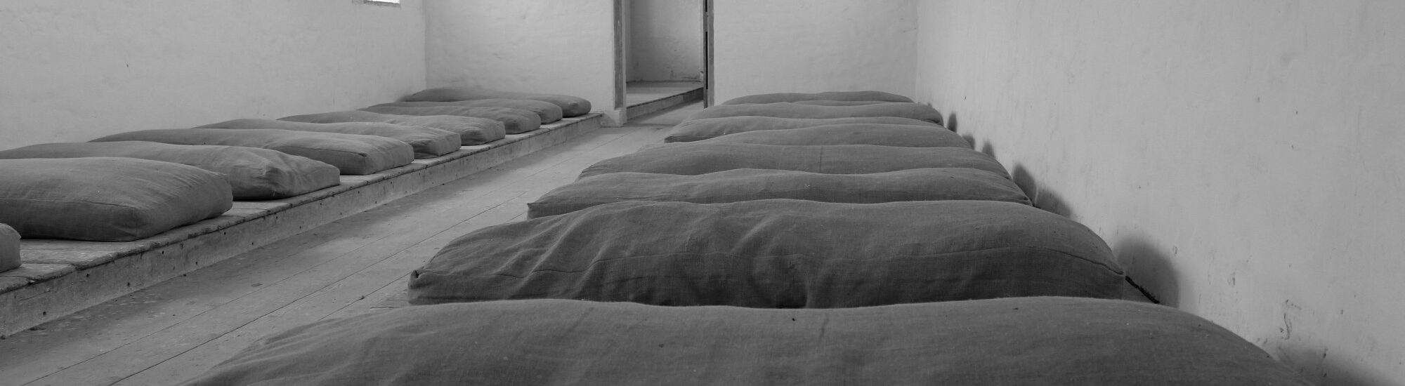 The Irish Workhouse Centre - https://irishworkhousecentre.ie/