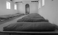 The Irish Workhouse Centre - https://irishworkhousecentre.ie/