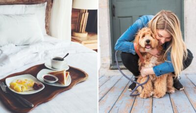 Le pet sitting peut vous permettre d'obtenir un hébergement gratuit en Irlande