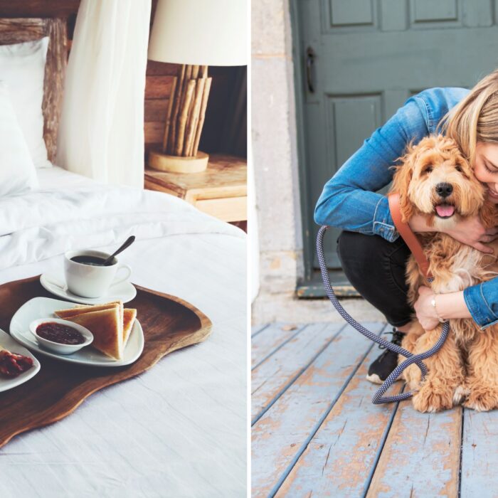 Le pet sitting peut vous permettre d'obtenir un hébergement gratuit en Irlande