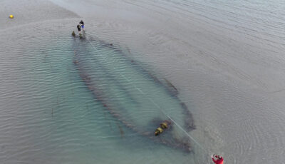 Une épave découverte sur la plage de Portmarnock - National Monuments Service (NMS)