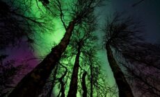 Une aurore boréale en Irlande du Nord - Margerretta - Pexels