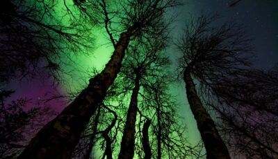 Une aurore boréale en Irlande du Nord - Margerretta - Pexels
