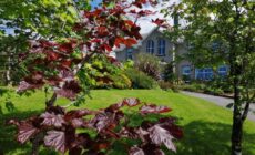 Apartments at Ballinsheen House & Gardens