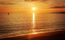 Atlantic Coast Lodge