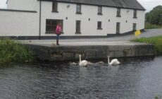 Ballycommon House
