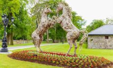 Bective Stud Apartments