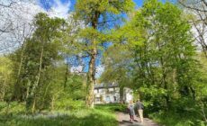 Blackhill Woods Retreat