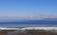 Breathtaking Wildness on Ireland's Atlantic Coast