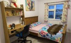 Budget Friendly King Room
