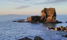 Causeway Country Lodge