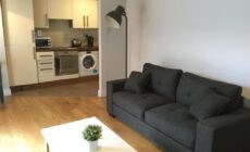 Central 2 bedroom apt in Smithfield