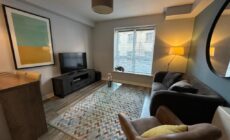 Comfortable and Modern City Apartment