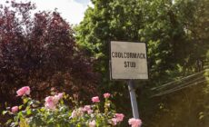 Coolcormack Stud B&B