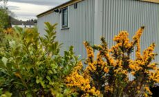 DANÚ Shepherd's Hut