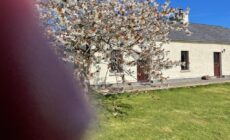 Deerpark Holiday cottages Dairy