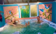 Driftwood Country Apartment