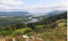 Entire Cottage The Nest