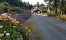 FOREST VIEW Woodland lodge