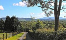 Lionhart Wellness Mountain Farm