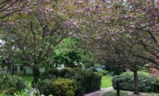 Marlay & Mountain Retreat