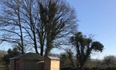 McClure Yurt at Carrigeen Glamping