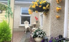 Naas 2 Bedroom Back Garden Escape