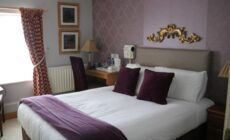 New Park Hotel Athenry