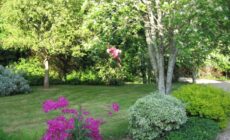 Self catering apartment at Beechwalk House.