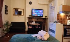 Spacious Victorian Flat