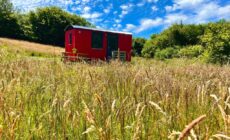 Stepping Stones Glamping little red