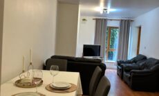 Terrace Apartment X91 RR04