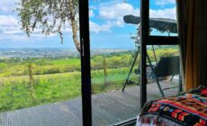 The Cabin in the Woods