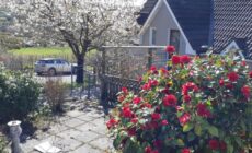 Tir na nOg - A Piece of Heaven