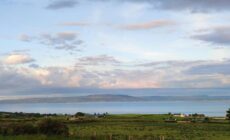 Tullyally's View