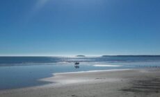 Views of Youghal Bay