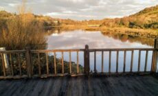 Watersedge