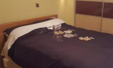 Willow house Eircode F92V67T